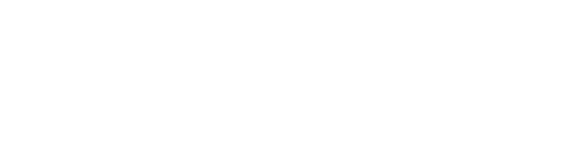 wladimir Magic Logo